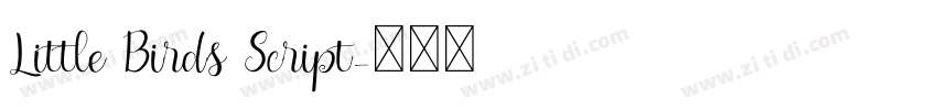 Little Birds Script字体转换